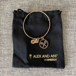 Alex and Ani (+) Energy Bracelet